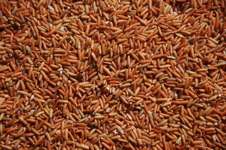 袁氏麓峰現代農業有限公司,長沙袁酒原材料基地管理,白酒銷售,酒類銷售哪里好